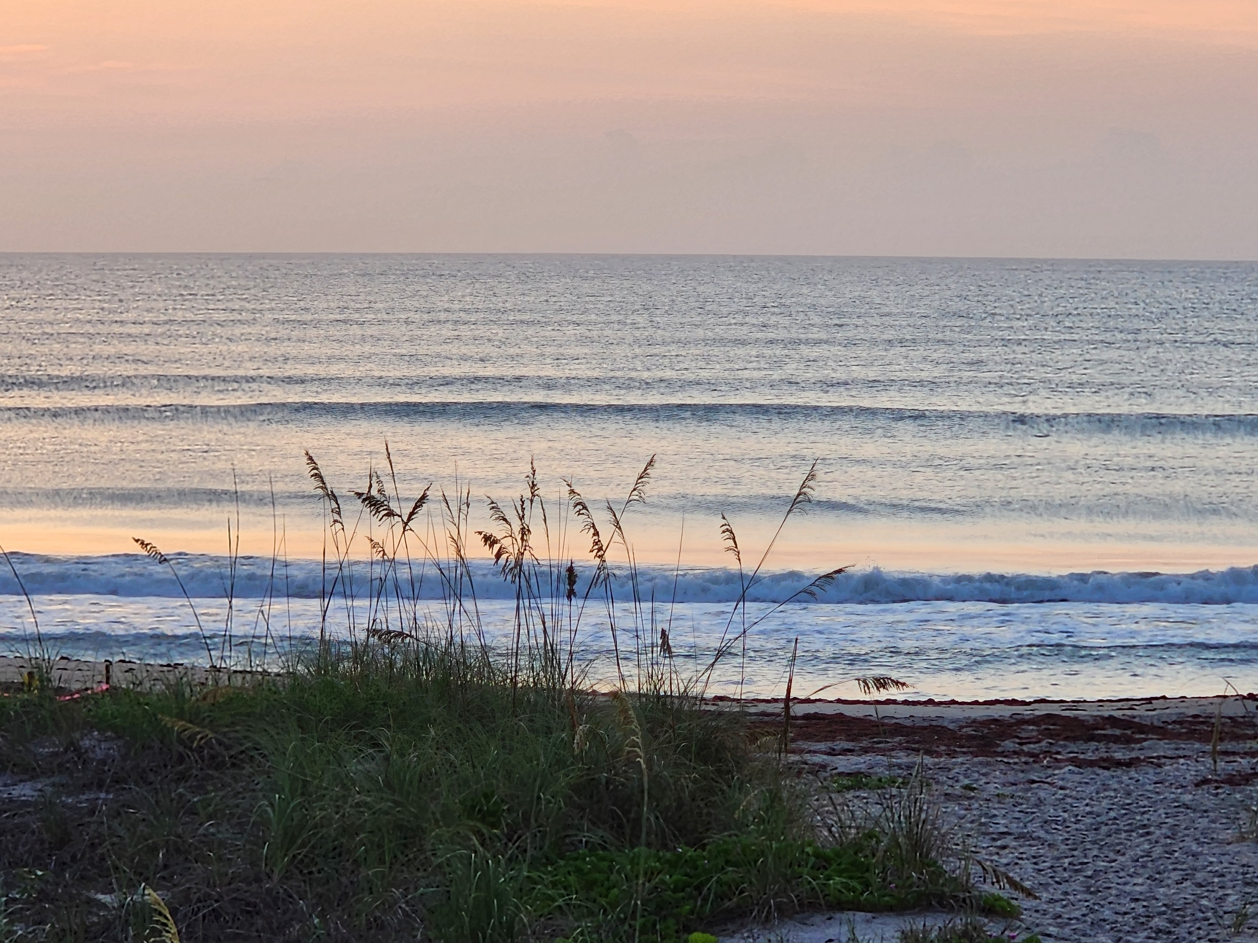 Multiple clean groundswell lines rolling in with pastel sunrise colors and silhouetted sea oats at Picnic Tables Cocoa Beach