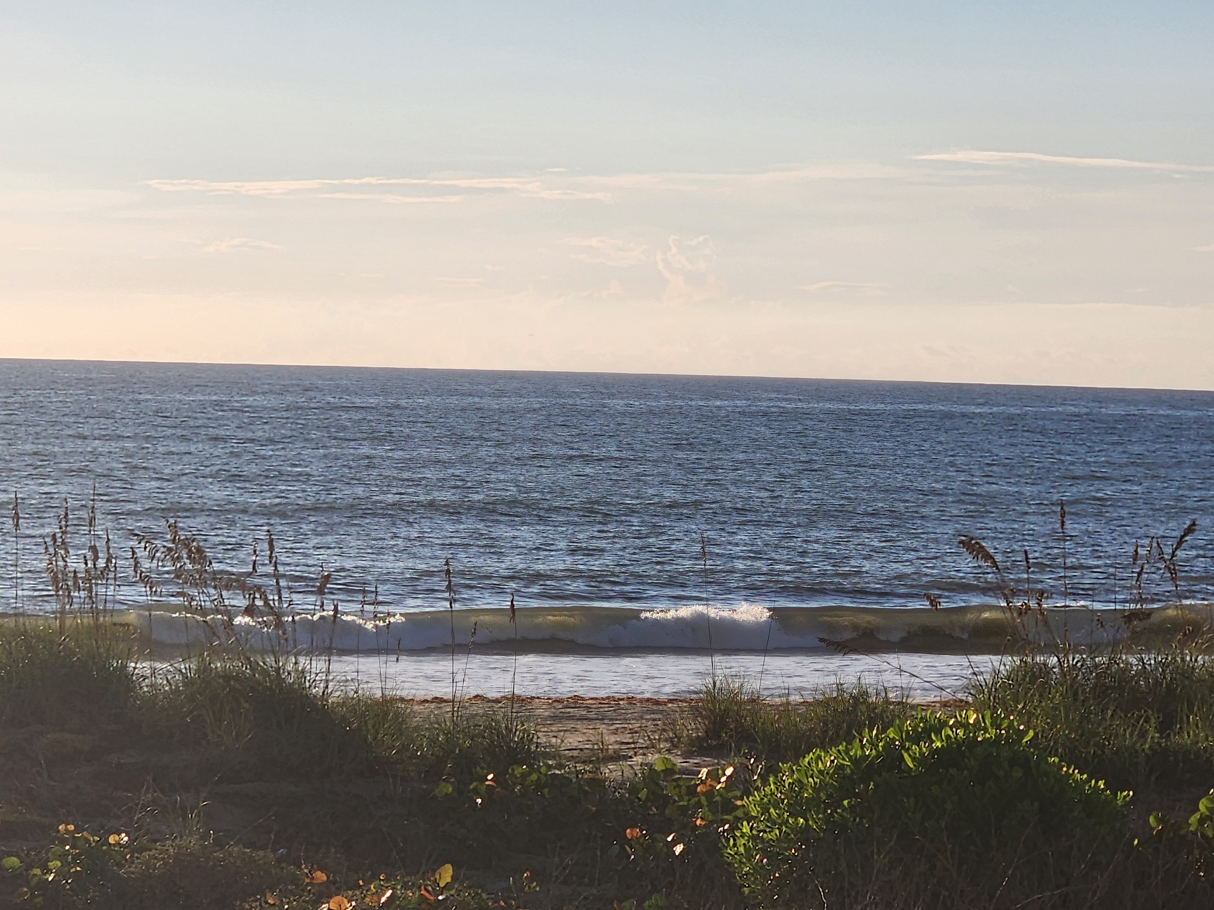 A two foot wave dumping close to shore on the high outgoing tide, framed by sea oats at Picnic Tables, South Cocoa Beach